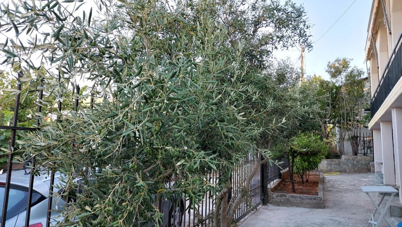 ארטמידה Helen'S Cozy Studio 2 מראה חיצוני תמונה